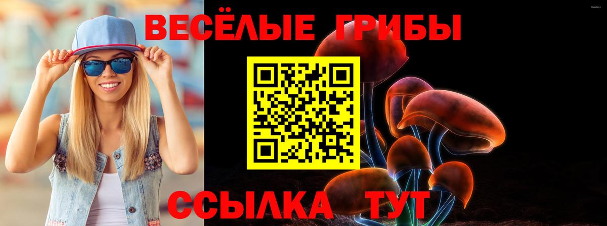 купить наркотик  Вход с VPN  Пугачёв  Псилоцибиновые грибы Psilocybine cubensis 
